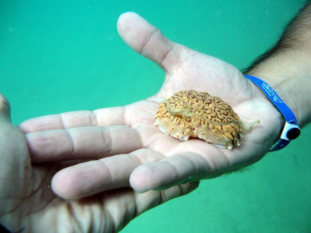 Pousada Sabrinna Maceió Buitenkant foto